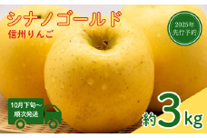 【2025年先行予約】りんご シナノゴールド(長野県オリジナル品種) 約3kg 林檎 リンゴ 千曲市 長野県産 信州