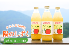 りんごジュース(ふじ) ストレート果汁100% 1000ml×6本 ストレートジュース 信州りんごジュース フレッシュジュース 千曲市 長野県 信州