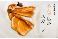 あんず染め スカーフ 100％国産シルク 手作業染め 自然 伝統技法 染め物 信州 あんずの里 長野県 千曲市