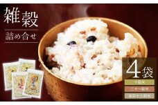 国産 雑穀詰め合わせ (十穀米・二十一穀米・発芽十三穀米) 国産 雑穀米 雑穀ごはん 信州 長野県 千曲市