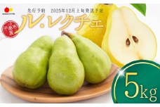 【2025年先行予約】 洋なし ル・レクチェ 約5kg 若草農園 梨 洋梨 洋なし 西洋梨 ルレクチェ ル・レクチェ 千曲市 長野県 信州