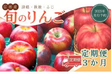 【2025年先行予約】【定期便3回】 りんご 秋映(長野県オリジナル品種)・つがる・ふじ旬 各約2kg りんご定期便 林檎 食べ比べ 長野県 千曲市 信州