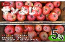 【2025年先行予約】訳あり りんご サンふじ 家庭用 約5kg 林檎 りんご 長野県 千曲市 信州