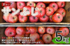 【2025年先行予約】訳あり りんご サンふじ 家庭用 約5kg 林檎 りんご 長野県 千曲市 信州