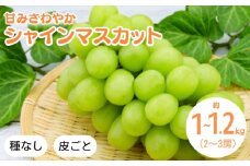 【2025年先行予約】シャインマスカット 約1kg~1.2kg(2~3房)｜ ぶどう 葡萄 白ぶどう 種無し 種なし 皮ごと 千曲市 長野県産 信州