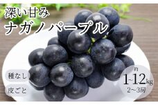 【2025年先行予約】ぶどう ナガノパープル1kg~1.2kg(2~3房)｜ 葡萄 黒ぶどう フルーツ 果物 千曲市 長野県産 信州
