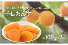 干しあんず 約100g×2袋 ｜ ドライフルーツ ドライあんず ドライアプリコット 国産 果物 千曲市 長野県産 信州