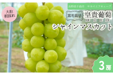 【2025年先行予約】シャインマスカット 露地栽培 秀品（特大粒）3房　約1.8kg ｜ ぶどう 葡萄 白ぶどう 種無し 種なし 皮ごと 千曲市 長野県産 信州