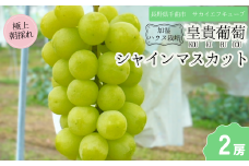 シャインマスカット お中元 加湿ハウス栽培 最上級品 2房 ｜ 白ぶどう 果物 フルーツ ぶどう シャインマスカット ギフト 種無し 千曲市 長野県産 信州
