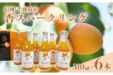 杏スパークリング (炭酸ノンアルコール6本セット)｜ あんずサイダー 炭酸飲料 サイダー ご当地サイダー 杏仁 フルーツサイダー 千曲市 長野県産 信州