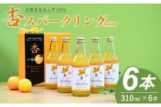 杏スパークリング (炭酸ノンアルコール6本セット)｜ あんずサイダー 炭酸飲料 サイダー ご当地サイダー 杏仁 フルーツサイダー 千曲市 長野県産 信州