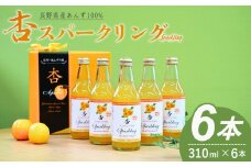 杏スパークリング (炭酸ノンアルコール6本セット)｜ あんずサイダー 炭酸飲料 サイダー ご当地サイダー 杏仁 フルーツサイダー 千曲市 長野県産 信州