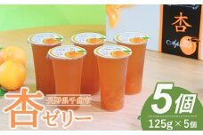 あんず ゼリー(長野県産あんず) 5個 ギフトセット｜ 杏子 アンズ おやつ デザート スイーツ 軽食 国産 千曲市 長野県産 信州