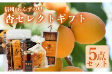  あんず セレクトギフト5種詰め合わせ <信州あんずの里> ｜ 杏子 アンズ  詰合せ 食べ比べ ケーキ おやつ デザート スイーツ 軽食 国産 千曲市 長野県産 信州