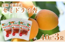 干しあんず(半生タイプ)３袋セット｜ 杏子 アンズ アプリコット セミドライフルーツ 信州 長野県産 千曲市