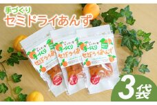 干しあんず(半生タイプ)３袋セット｜ 杏子 アンズ アプリコット セミドライフルーツ 信州 長野県産 千曲市
