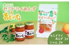 【新物できました！】あんず ジャム 2本組<手作り杏じゃむ>× 干しあんず(半生)40g 1袋セット ｜ 信州あんず 杏子 アンズ アプリコット ジャム ドライフルーツ 千曲市 長野県産 信州