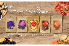 信州産 ドライフルーツ 人気5品 セット(りんご/プルーン/あんず/ぶどう/ミニトマト)｜ 果物 詰め合わせ ヘルシー 千曲市 長野県産 信州