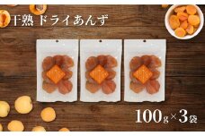 あんず ドライフルーツ 信州産 干熟 ドライ あんず 100g×3袋 ｜ 杏子 アンズ アプリコット 千曲市 長野県産 信州
