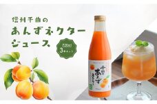 信州 千曲のあんずネクター ジュース （720ml 3本セット）｜ 杏子 果物 フルーツ 長野県産 千曲市