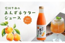 信州 千曲のあんず ネクター ジュース 720ml 6本セット｜ 杏子 果物 フルーツ 長野県産 千曲市