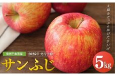 【2025年先行予約】りんご サンふじ 約5kg<中島農園> ｜ さんふじ フルーツ 果物 信州りんご 千曲市 長野県産 信州