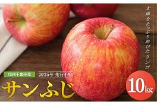 【2025年先行予約】りんご サンふじ 約10kg<中島農園> ｜ さんふじ フルーツ 果物 信州りんご 産地直送 千曲市 長野県産 信州