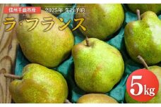 【2025年先行予約】洋梨 ラ・フランス 約5kg ｜ ラフランス 洋梨 果物 フルーツ デザート 千曲市 長野県産 信州