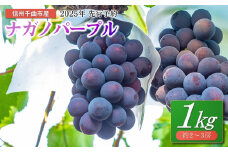 【2025年先行予約】ぶどう ナガノパープル 1kg(2~3房)｜ 葡萄 黒ぶどう フルーツ 果物 千曲市 長野県産 信州