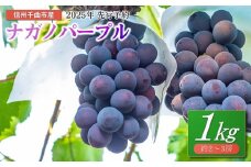 ぶどう ナガノパープル 1kg(2~3房)｜ 葡萄 黒ぶどう フルーツ 果物 千曲市 長野県産 信州