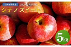 【2025年先行予約】りんご シナノスイート 12~20玉 約5kg｜ リンゴ 林檎 フルーツ 果物 信州りんご 長野県産 千曲市 信州