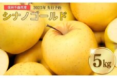 【2025年先行予約】りんご シナノゴールド 12~20玉 約5kg ｜ リンゴ 林檎 フルーツ 果物 信州りんご 長野県産 千曲市 信州