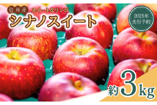 【2025年先行予約】スイートなりんご シナノスイート 約3kg｜ 林檎 信州りんご 千曲市 長野県 