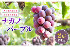 【2025年先行予約】ぶどう 家庭用 ナガノパープル 約1kg 2房 ｜ 葡萄 赤ぶどう フルーツ 果物 千曲市 長野県産 信州