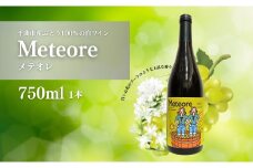 白ワイン<メテオレ> 750ml × 1本 ｜ ワイン 辛口 シャルドネ ゲヴュルツトラミネール 国産 千曲市 長野県産 信州
