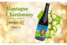 白ワイン<モンターニュ シャルドネ> 750ml × 1本 ｜ ワイン 辛口 国産 千曲市 長野県産 信州
