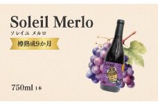 赤ワイン<ソレイユ メルロ> 750ml × 1本 ｜ ワイン 国産 千曲市 長野県産 信州