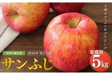 【2025年先行予約】りんご サンふじ 家庭用 約5kg  ｜ リンゴ 林檎 フルーツ 果物 信州りんご 長野県産 千曲市 信州