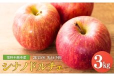 【2025年先行予約】りんご シナノドルチェ 6~11玉 約3kg ｜ リンゴ 林檎 フルーツ 果物 信州りんご 長野県産 千曲市 信州