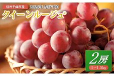【2025年先行予約】ぶどう クイーンルージュ® 1~1.5kg(2房) ｜ 赤ぶどう 果物 フルーツ 種なし 皮ごと 信州 特産品 千曲市 長野県産 信州