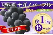 【2025年先行予約】ぶどう ナガノパープル粒パック 約1kg｜ 果物 フルーツ 黒ぶどう 種無し 皮ごと 千曲市 長野県 信州