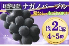 【2025年先行予約】ぶどう ナガノパープル 約2kg(4~5房)｜ 果物 フルーツ 黒ぶどう 葡萄 ブドウ 種無し 種なし 皮ごと 千曲市 長野県 信州