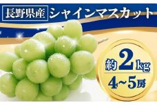 【2025年先行予約】シャインマスカット 約2kg(4~5房)｜ 果物 フルーツ 白ぶどう 葡萄 ブドウ 種無し 種なし 皮ごと 千曲市 長野県 信州