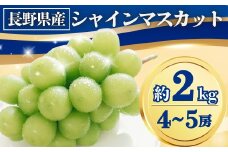 シャインマスカット 約2kg(4~5房)｜ 果物 フルーツ 白ぶどう 葡萄 ブドウ 種無し 種なし 皮ごと 千曲市 長野県 信州