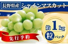 シャインマスカット粒パック 約1kg｜ 果物 フルーツ 白ぶどう 葡萄 ブドウ 種無し 種なし 皮ごと 千曲市 長野県 信州