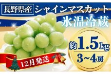 【2025年先行予約】氷温貯蔵シャインマスカット 約1.5kg(3~4房)｜ 果物 フルーツ 白ぶどう 葡萄 ブドウ 種無し 種なし 皮ごと 千曲市 長野県 信州