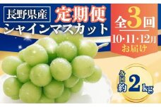 【2025年先行予約】【定期便3回】シャインマスカット 約2kg×3回 (2025年10月/11月/12月発送)｜ 果物 フルーツ 白ぶどう 葡萄 ブドウ 種無し 種なし 皮ごと 千曲市 長野県 信州