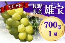 【2025年先行予約】ぶどう 雄宝(ゆうほう)700g以上(1房)｜ 果物 フルーツ ぶどう 葡萄 ブドウ 種無し 種なし 皮ごと 千曲市 長野県 信州