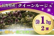 【2025年先行予約】ぶどう クイーンルージュ® 約1kg(2房) 長野県オリジナル品種｜ 果物 フルーツ 赤ぶどう 葡萄 ブドウ 種無し 種なし 皮ごと 千曲市 長野県 信州