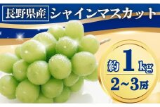 シャインマスカット 約1kg(2~3房)｜ 果物 フルーツ 白ぶどう 葡萄 ブドウ 種無し 種なし 皮ごと 千曲市 長野県 信州
